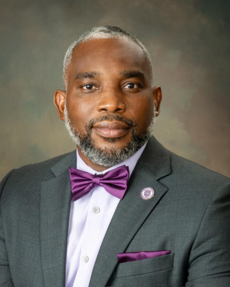 Bimbola Akintade, Director at Large